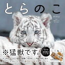 とらのこ / 辰巳出版