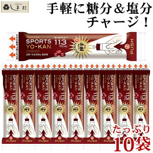 【全品P2倍｜2個購入で2%OFF】「 スポーツようかん あずき 40g 10個 セット 」 羊羹 小倉 井村屋 ようかん 熱中症対策 暑さ対策 送料無料 メール便 和 スイーツ 一口サイズ