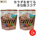 【最大5%OFF】玉三 牛乳で飲むきな粉ココア CATETA 2袋 セット 約20杯分 | ココア 粉 ココアパウダー きなこ きな粉 鉄分 カルシウム たんぱく質 食物繊維 牛乳 1000円ぽっきり 送料無料