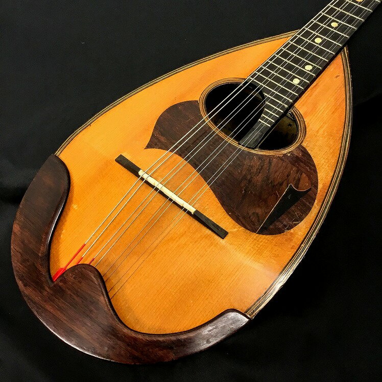 Fratelli Vinaccia / 1920s Mandolin 【中古】【USED】マンドリン 【梅田ロフト店】