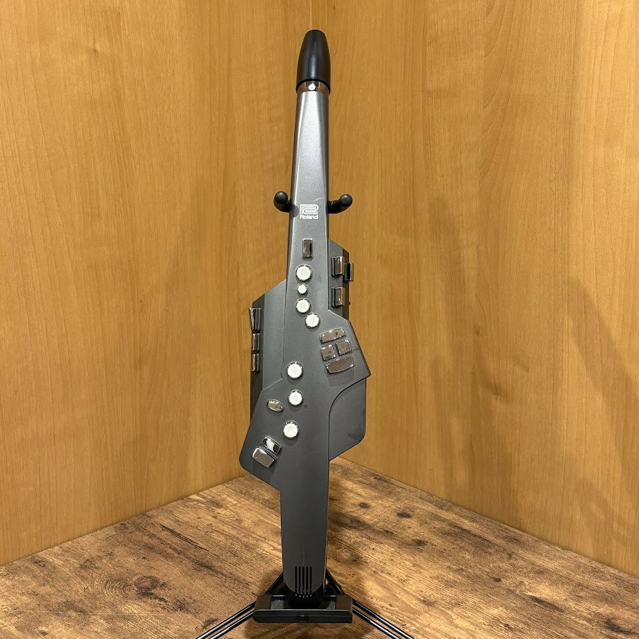 【中古】Roland(ローランド)/ AE-10G【USED】【八王子オクトーレ店】(2500003595896)