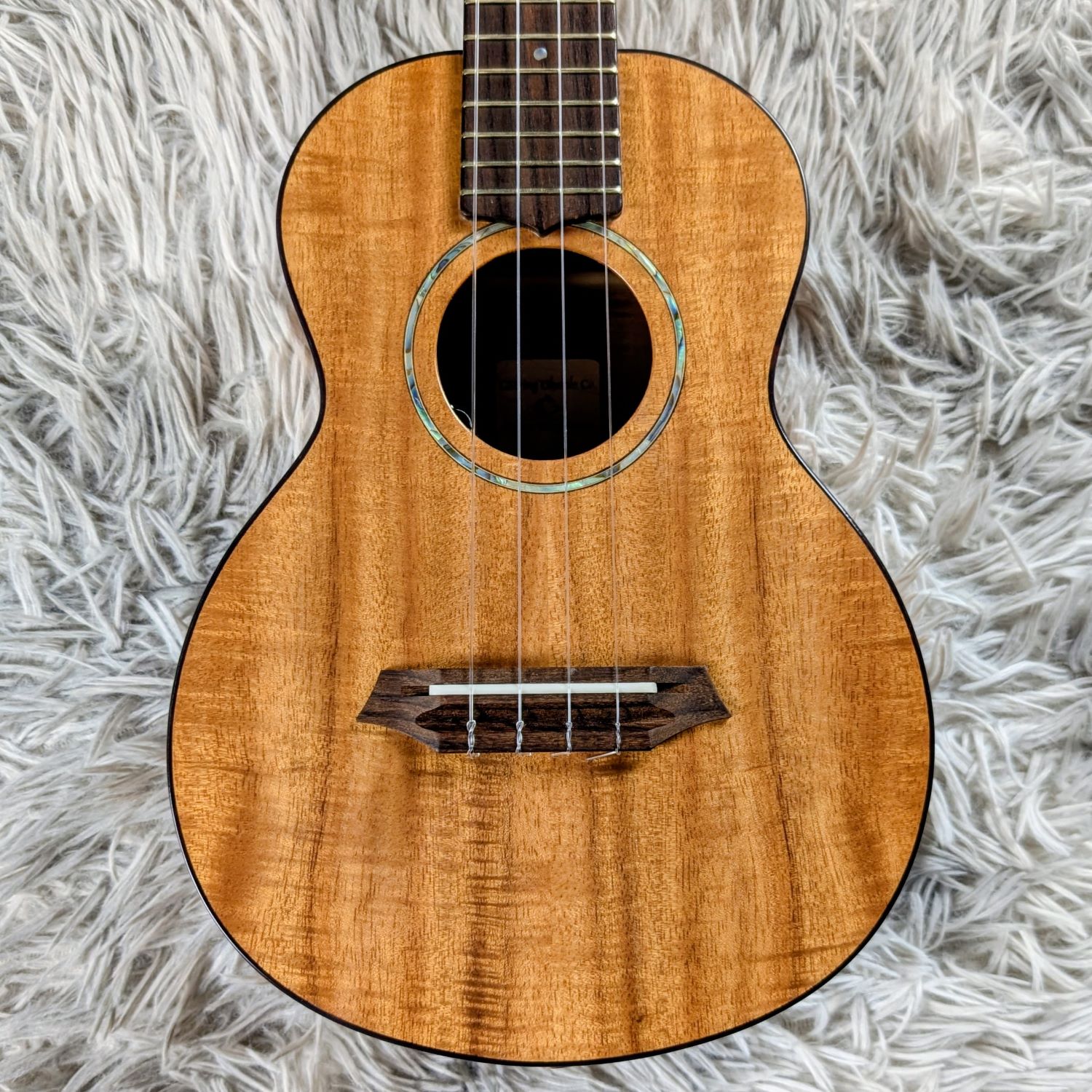 G-string（ジーストリング）/ T4-C(2500002311084)