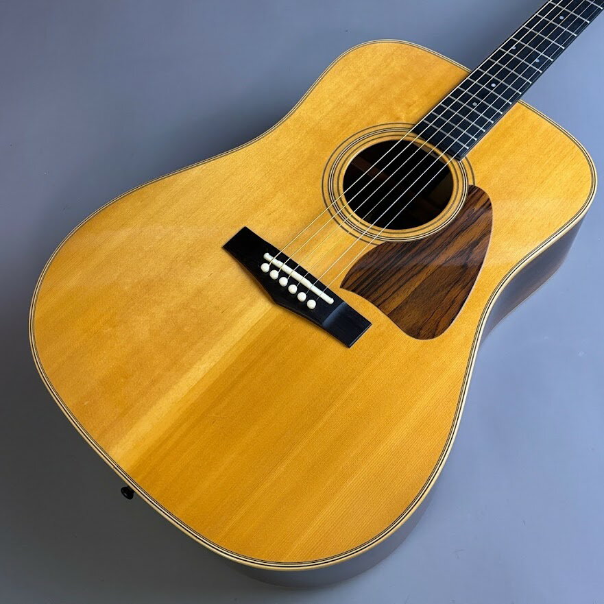 楽天市場】IBANEZ（アコースティックギター｜ギター）：ギター・ベース