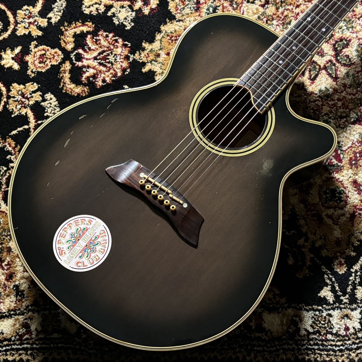 楽天市場】takamine ハードケース（アコースティックギター｜ギター