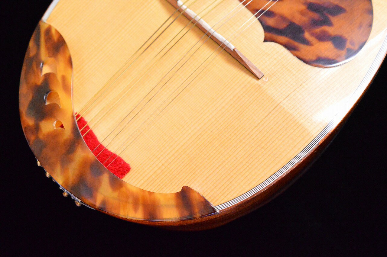 ����š�Calace�ʥ��顼������/ No 24��USED�ۡ������㲰ĮŹ��(2500001568861)