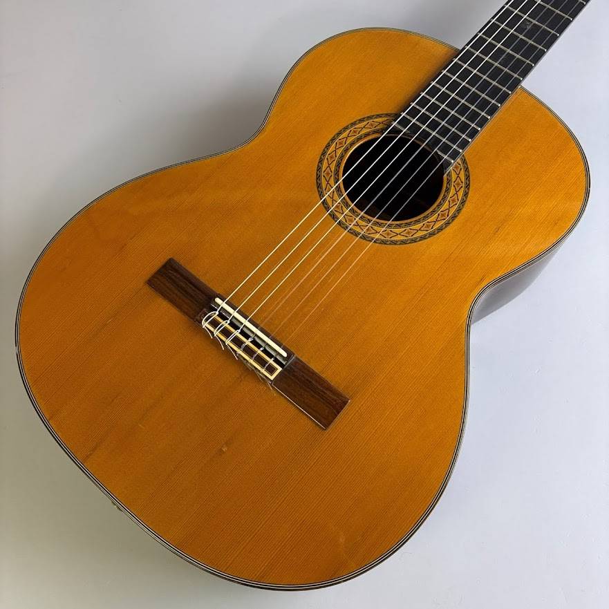 楽天市場】takamine ハードケースの通販