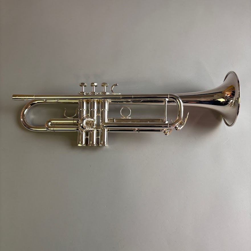 Rakuten - 【中古】Schilke（シルキー）/ S23HD【USED】【そよら成田ニュータウン店】(2500003848534)