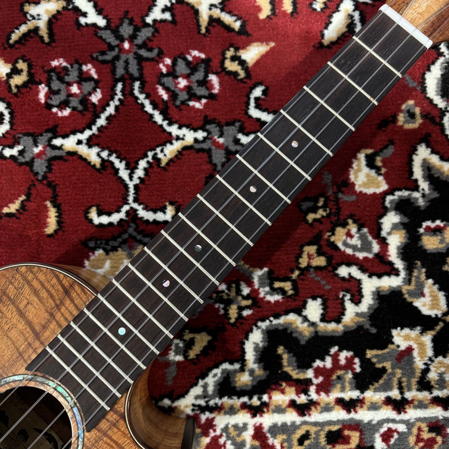 【中古】Makolele（マコレレ）/ Koa-Tenor-c-e【USED】【水戸マイム店】(250000231...