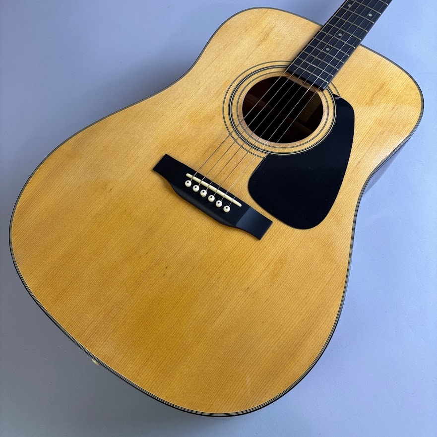 Rakuten - 【中古】MORRIS（モーリス）/ MD502【USED】【そよら成田ニュータウン店】(2500002055483)