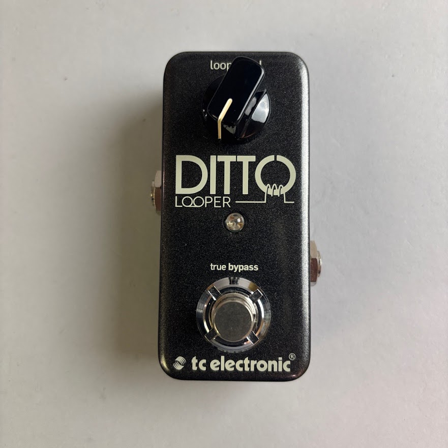 【中古】TC Electronic（TC エレクトロニック）/ Ditto Looper【USED】【そよら成田ニュータウン店】(2500003254885)