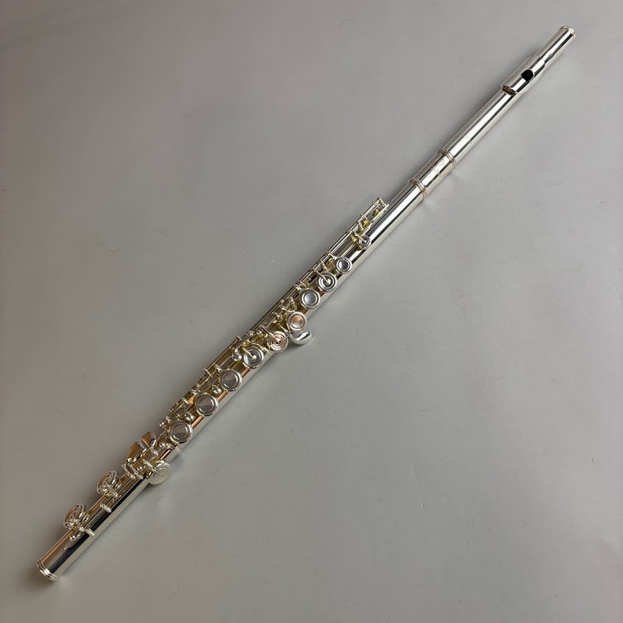 【中古】AZUMI（あずみ）/ AZ-Z1E【USED】【そよら成田ニュータウン店】(2500003882408)