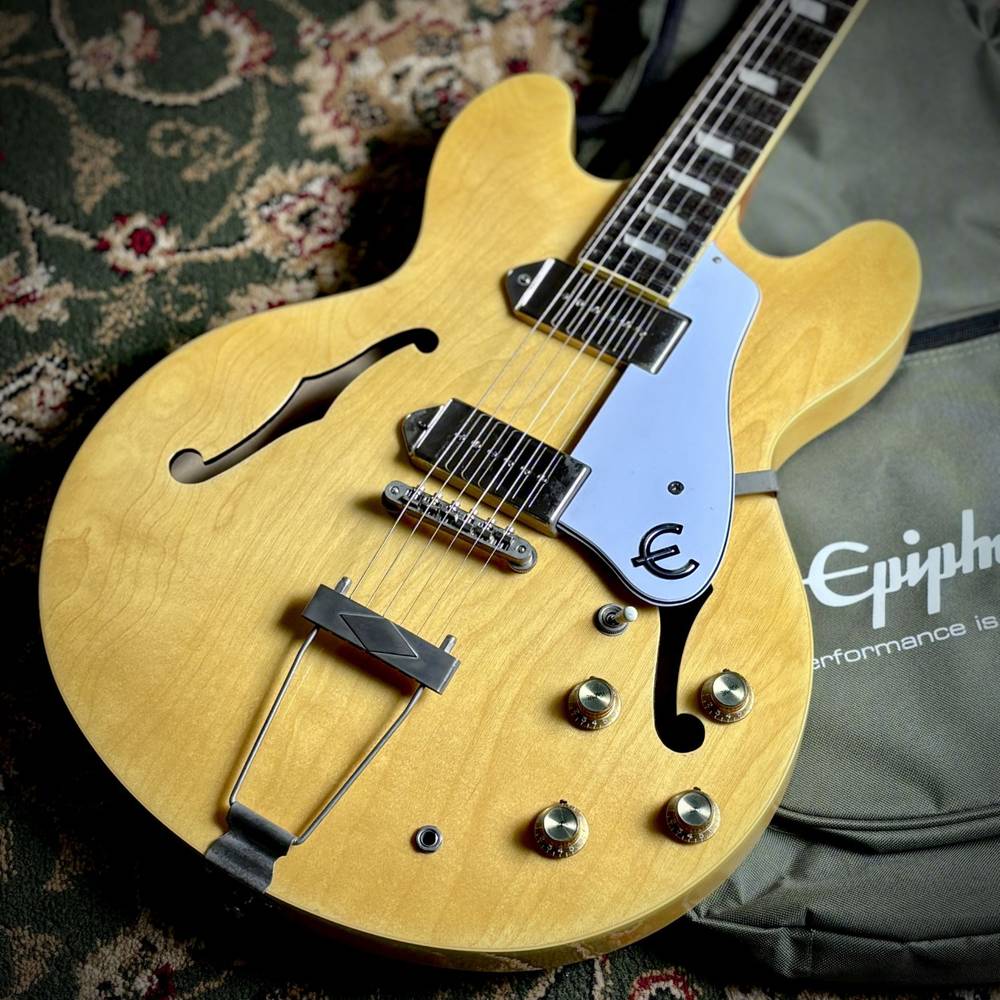 楽天市場】epiphone casino ハードケースの通販