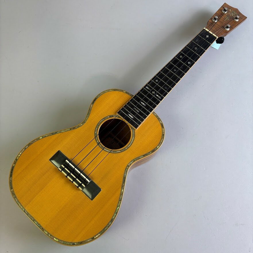 乐天商城 - 【中古】ASTURIAS（アストリアス）/ AH-2 Special【USED】【そよら成田ニュータウン店】(2500002315228)