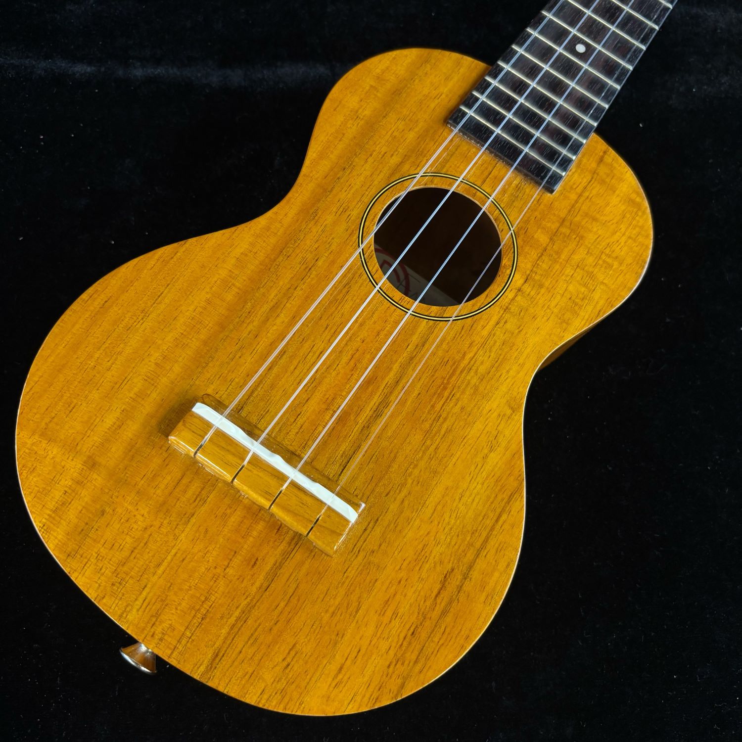 楽天市場】famous fs－5g 中古の通販