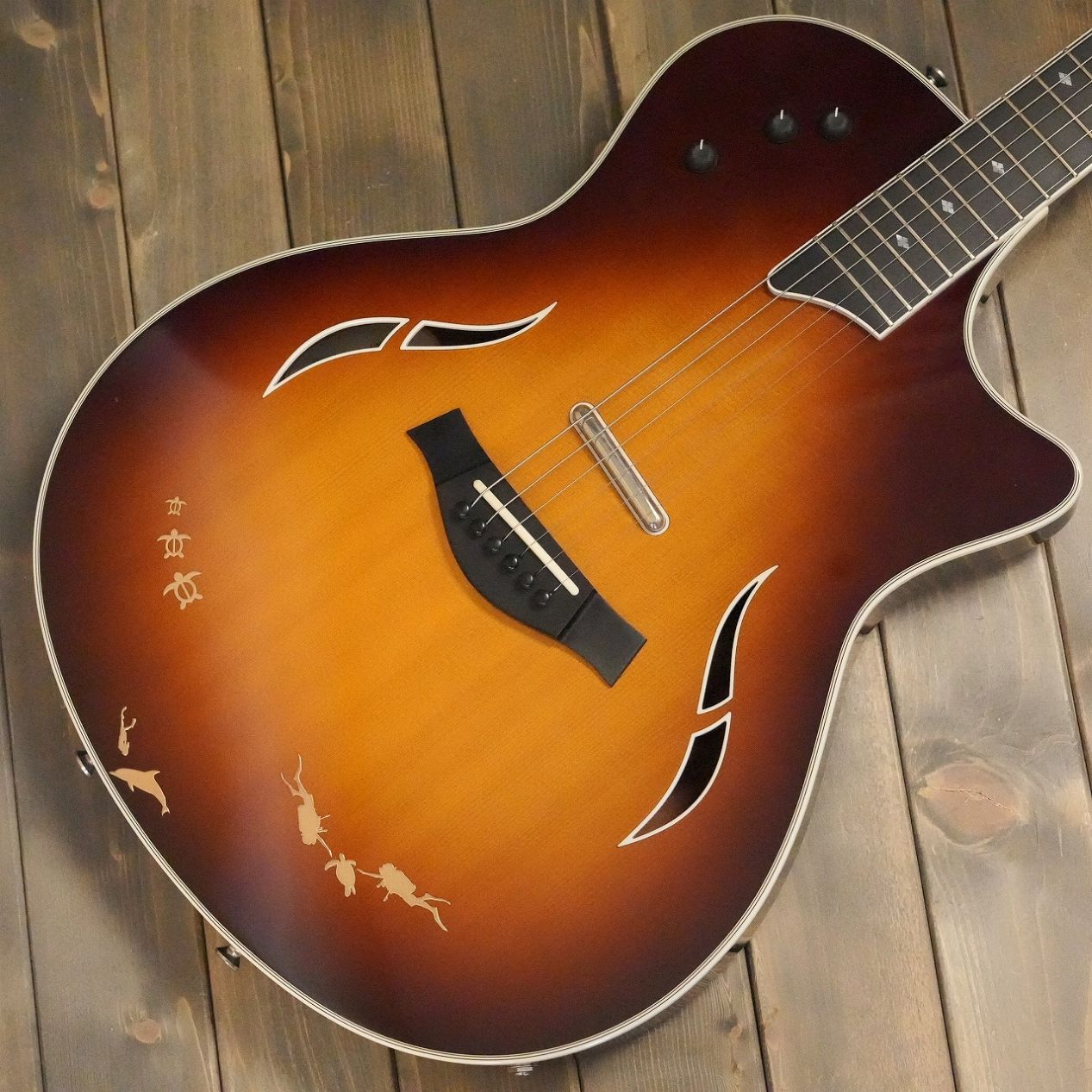 楽天市場】taylor t5（アコースティックギター｜ギター）：ギター