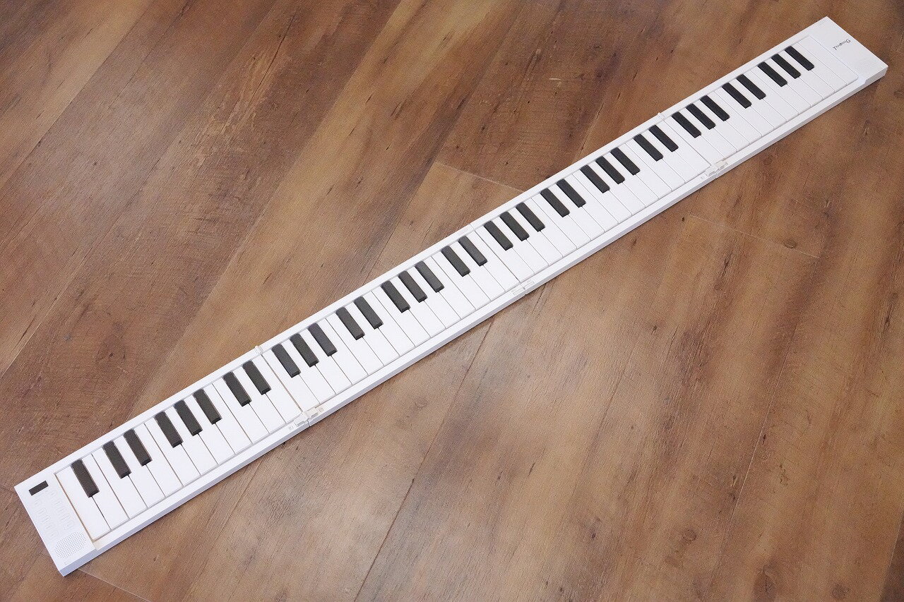 TAHORNG（タホーン）/ ORIPIA88(2500003749237)