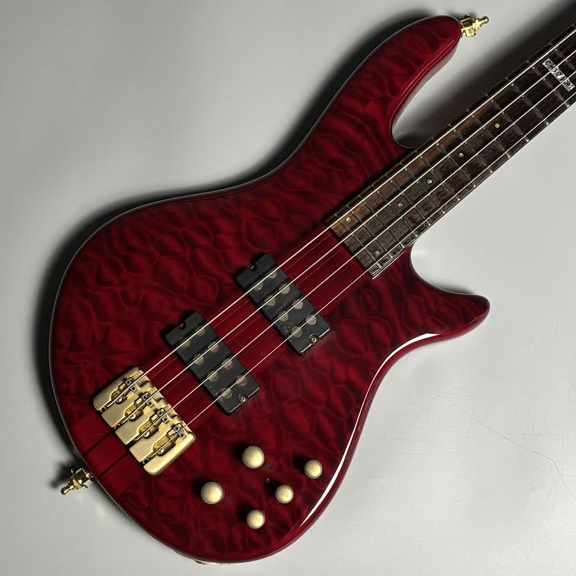 LTD/ C-304QM(2500002812574)