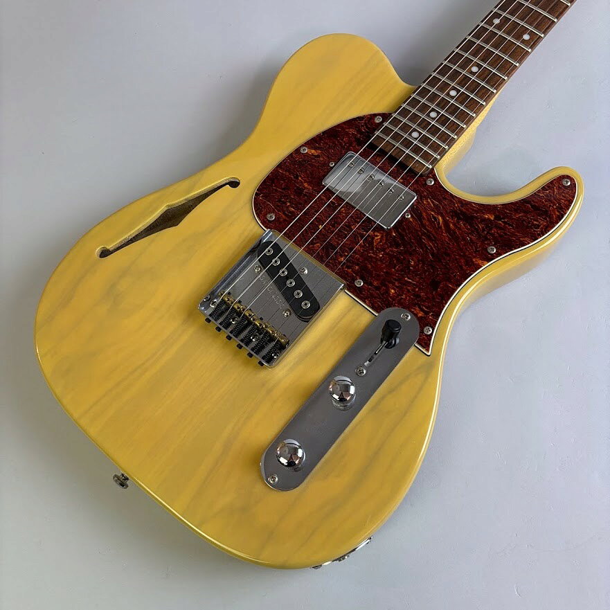 楽天市場】G&L Asat Classic（ギター｜ギター・ベース）：楽器・音響