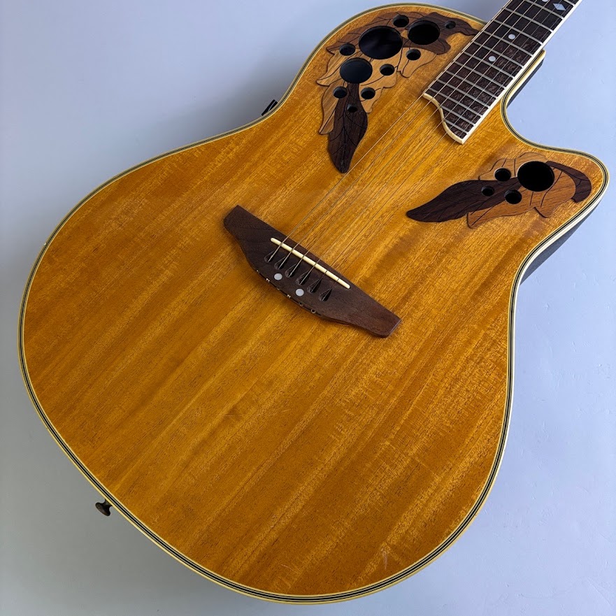 楽天市場】ovation セレブリティーの通販