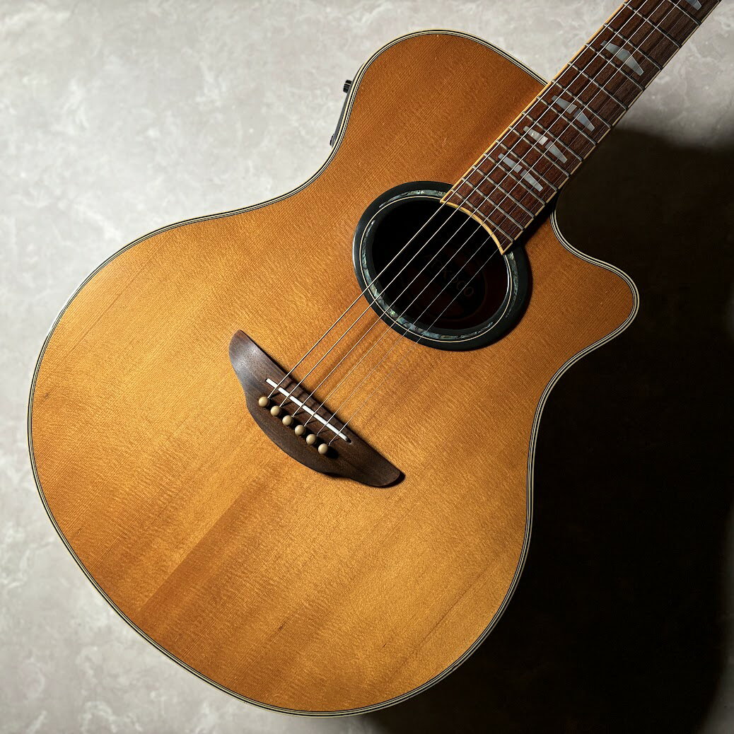楽天市場】yamaha apx500の通販