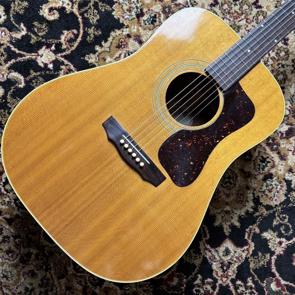 楽天市場】guild t-50の通販