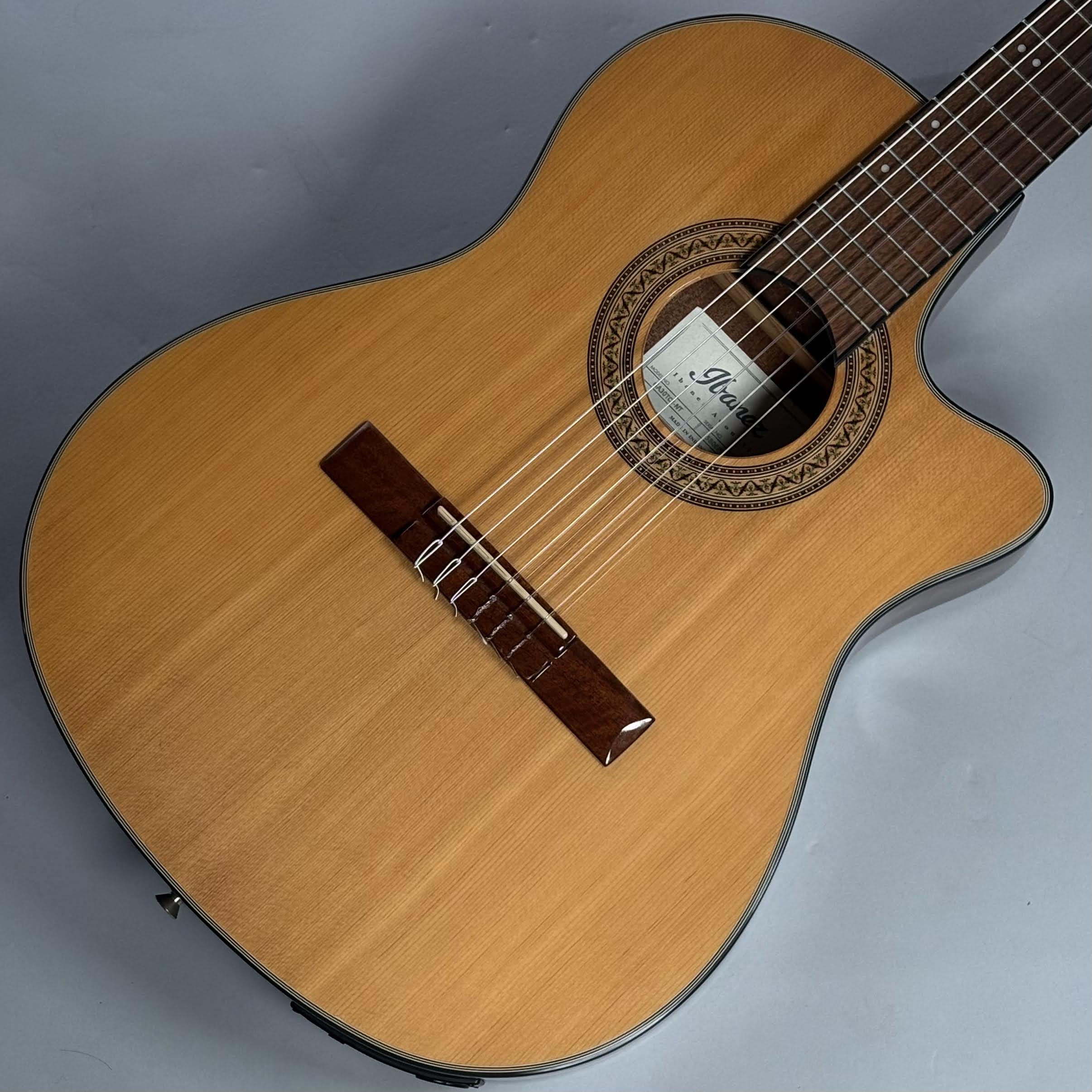 楽天市場】ibanez ga30tceの通販
