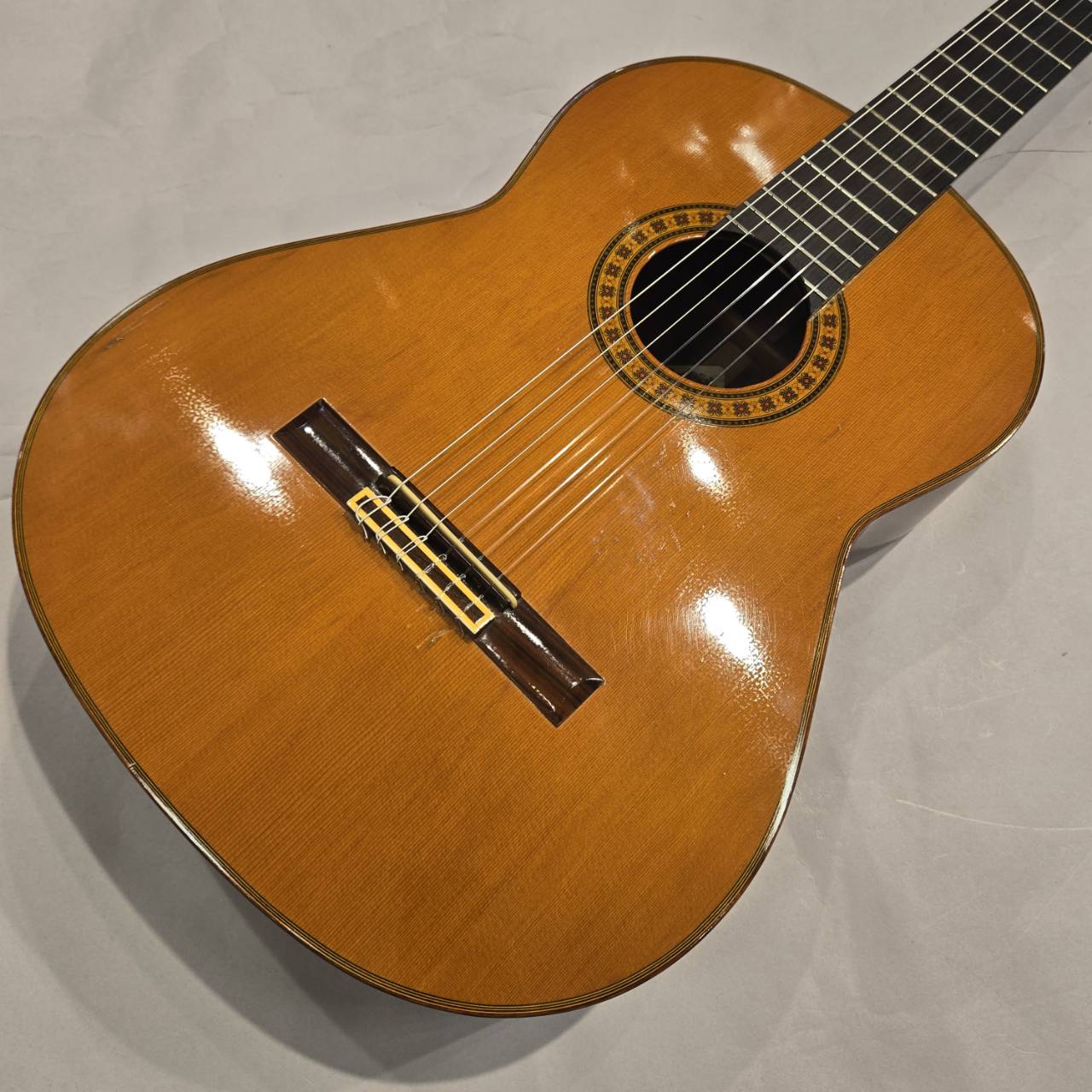 楽天市場】フェルナンデス ギター 現在（楽器・音響機器）の通販