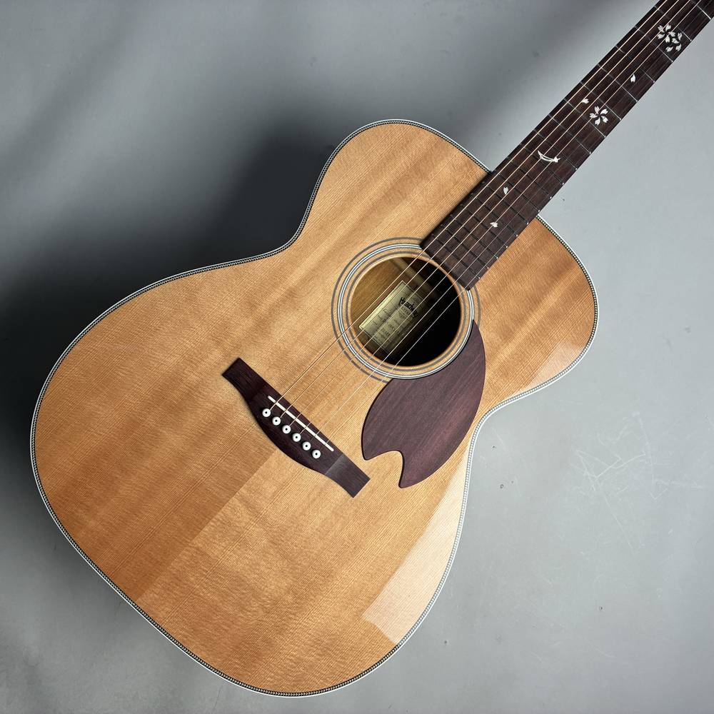 楽天市場】ヘッド ウェイ ギター ケース（楽器・音響機器）の通販