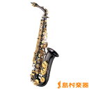 【3年保証】 J.Michael AL-900B アルトサックス Jマイケル AL900B ブラックサックス【WEBSHOP限定価格】