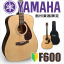 【ポイント5倍 6/21 01:59迄】YAMAHA F60...
