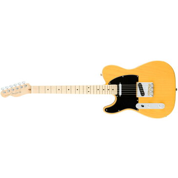 Fender American Professional Telecaster Left-Hand Butterscotch Blonde テレキャスター エレキギター 左利き レフトハンド 【フェンダー】