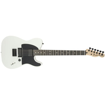 Fender Jim Root Telecaster Flat White テレキャスター エレキギター 【フェンダー】