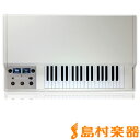 Mellotron M4000D Digital Mellotron ...(2)