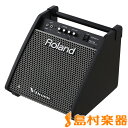 Roland Personal Monitor PM-100 パワードモニターアンプ 専用 ローランド PM100