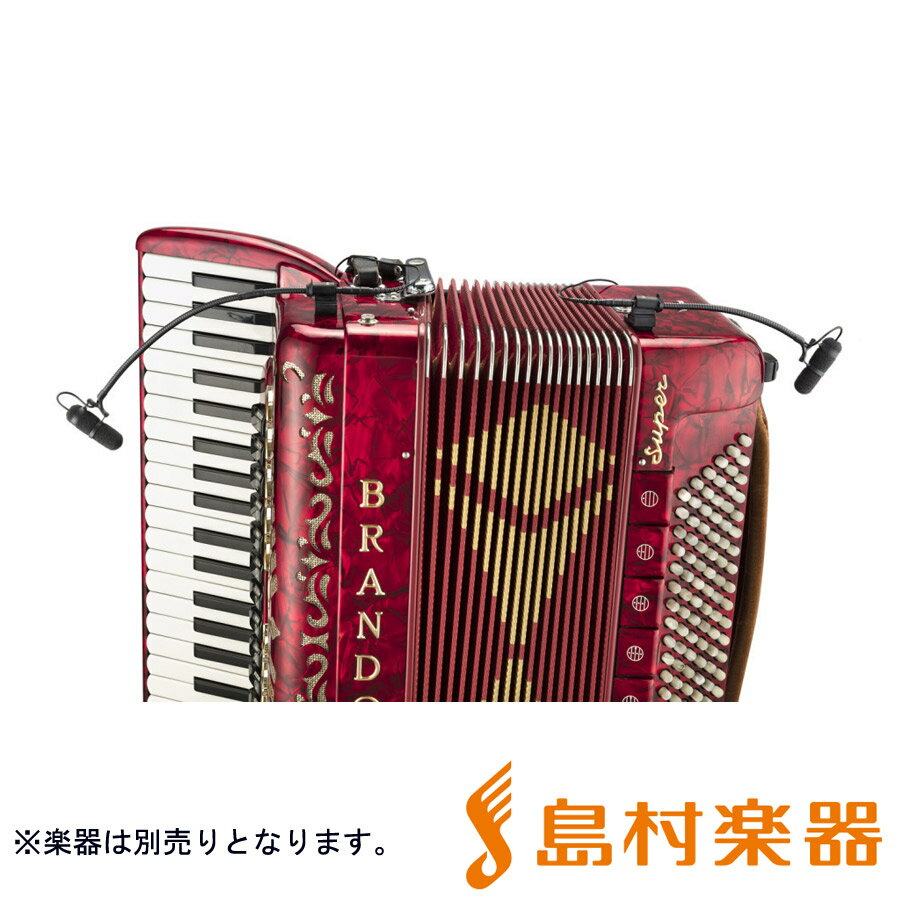 DPA Microphones d:vote CORE4099シリーズ アコーディオン用マイクセット 楽器用マイクロホン 4099-DC-1-101-A