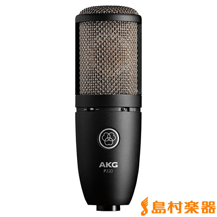 AKG P220 コンデンサーマイク アーカーゲー