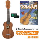 Hanalei HUK-80 エントリーセット ウクレレ 初心者セット 入門セット【ソプラノ】【ギアペグ使用】 ハナレイ 【WEBSH…