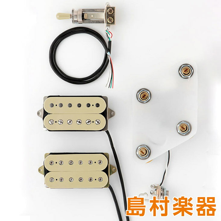 DiMarzio GG2101A2CR プリワイアードピックアップセット レスポール用 Classic Roc...