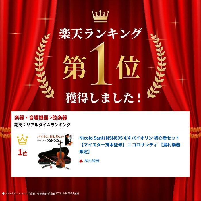 Nicolo Santi NSN60S 4/4 バイオリン 初心者セット 【マイスター茂木監修】 ニコロサンティ 【島村楽器限定】