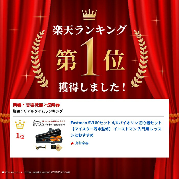 Eastman SVL80セット 4/4 バイオリン 初心者セット 【マイスター茂木監修】 イーストマン 入門用 レッスンにおすすめ