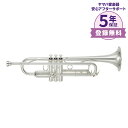 【5年保証】【吹奏楽手帳プレゼント♪】 YAMAHA YTR4335GSII B♭ トランペット ヤマハ YTR-4335GSII