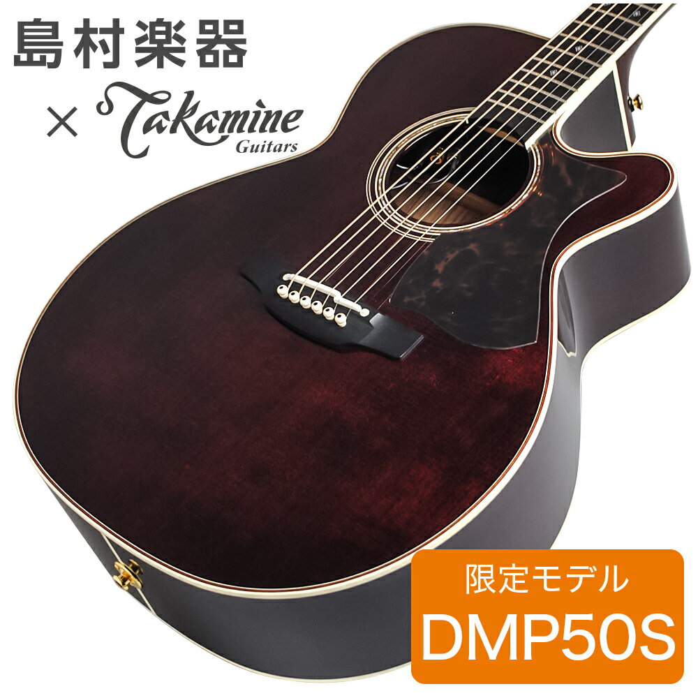 Takamine DMP50S WR エレアコギター ギグケース付属  タカミネ