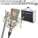 【保管用湿度調整剤 プレゼント！】 NEUMANN TLM 103 mono set コンデンサーマイク ショックマウント ケース付属 モノセット ノイマン 【国内正規品】