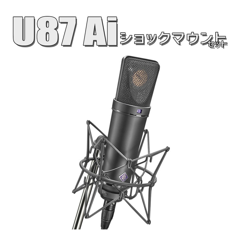 【保管用湿度調整剤 プレゼント！】 NEUMANN U 87 Ai mt ブラック Studio set スタジオセット コンデンサーマイク ショックマウント付き ノイマン U87 Ai