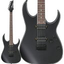 Ibanez RG421EX BKF (Black Flat) エレキギター ブラックフラット ソフトケース付属 RGシリーズ アイバニーズ