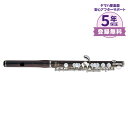 【5年保証】【吹奏楽手帳プレゼント♪】 YAMAHA YPC-62 ピッコロ ヤマハ YPC62