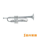 【3年保証】 J.Michael TR-430S イエローブラス・シルバー仕上げ B♭ トランペット Jマイケル TR430S【WEBSHOP限定価格】