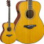 YAMAHA Trans Acoustic FS-TA Vintage Tint ȥ󥹥ƥå(쥢) ե ޥ