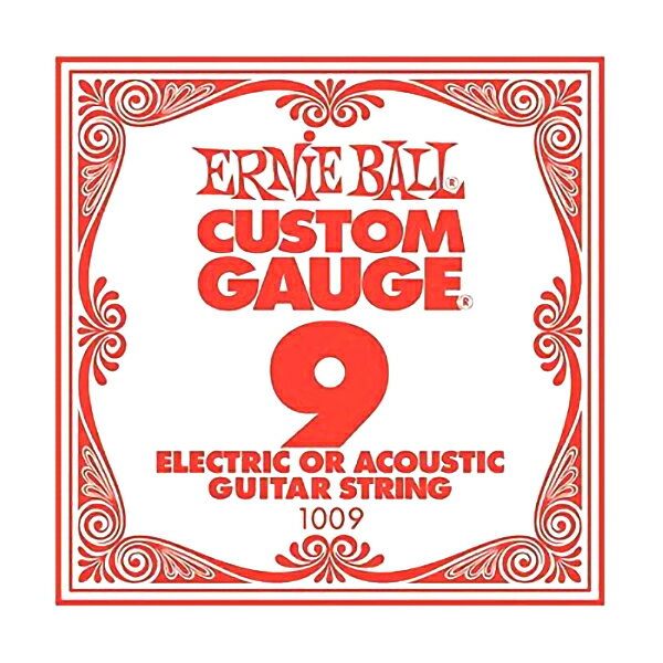 ERNiE BALL 1009 エレキギター／アコギ弦 009 プレーンスチール  アーニーボール