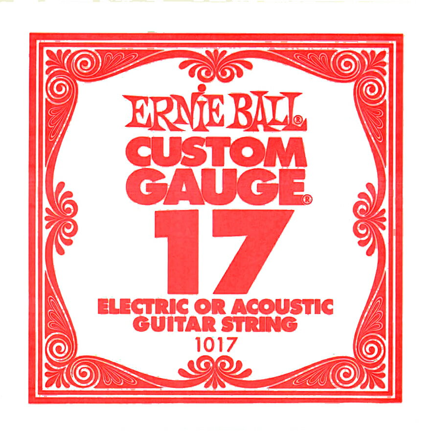 ERNiE BALL 1017 エレキギター／アコギ弦 017 プレーンスチール 【バラ弦1本】 アーニーボール